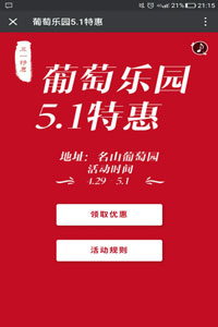 葡萄园5.1特惠