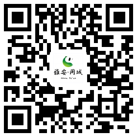 雅安同城信息平台